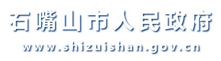 石嘴山市人民政府